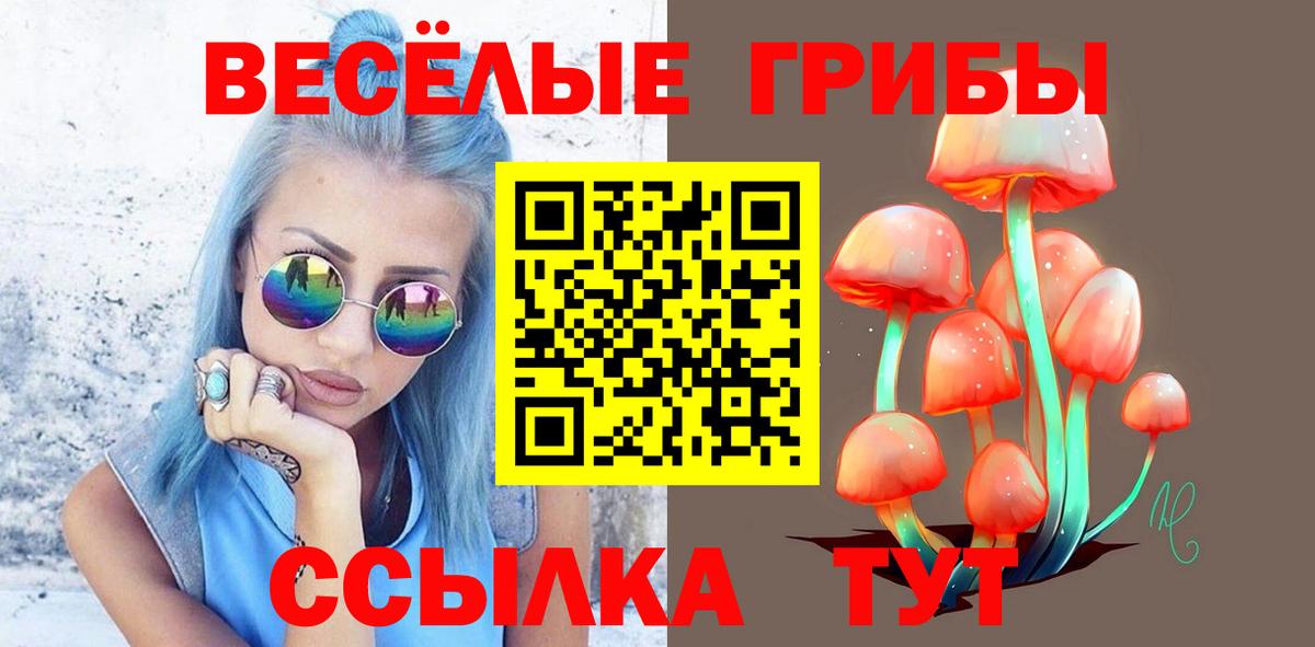 Псилоцибиновые грибы мицелий Чернушка