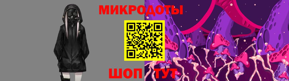 Галлюциногенные грибы Psilocybe  Псилоцибиновые грибы Magic Shrooms  Чернушка 